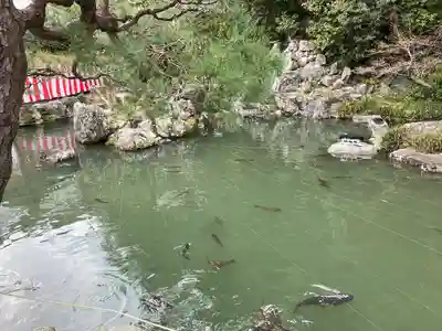 清荒神清澄寺(兵庫県)
