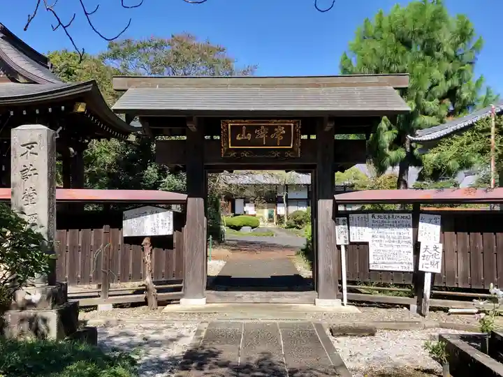 智観寺の山門・神門