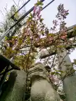 小野照崎神社の{uncategorized: "未分類", other: "その他", undefined: "問題あり", building: "その他建物", grave: "お墓", sacred_gate: "鳥居", guardian: "狛犬", statue: "像", buddha: "仏像", history: "歴史", nature: "自然", garden: "庭園", animal: "動物", pagoda: "塔", temizu: "手水舎", mountain_gate: "山門・神門", sanctuary: "本殿・本堂", subordinate: "末社・摂社", art: "芸術", scenery: "景色", jizo: "地蔵", ema: "絵馬", goshuin: "御朱印", omikuji: "おみくじ", items: "授与品その他", amulet: "お守り", goshuincho: "御朱印帳", eats: "食事", festival: "お祭り", votive_dance: "神楽", shichigosan: "七五三参", wedding: "結婚式", experience: "体験その他", initially: "初詣", around: "周辺", anti_infection: "感染症対策"}