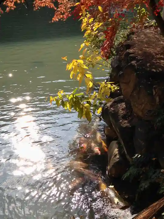 生田神社(兵庫県)