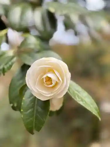 高源寺(兵庫県)