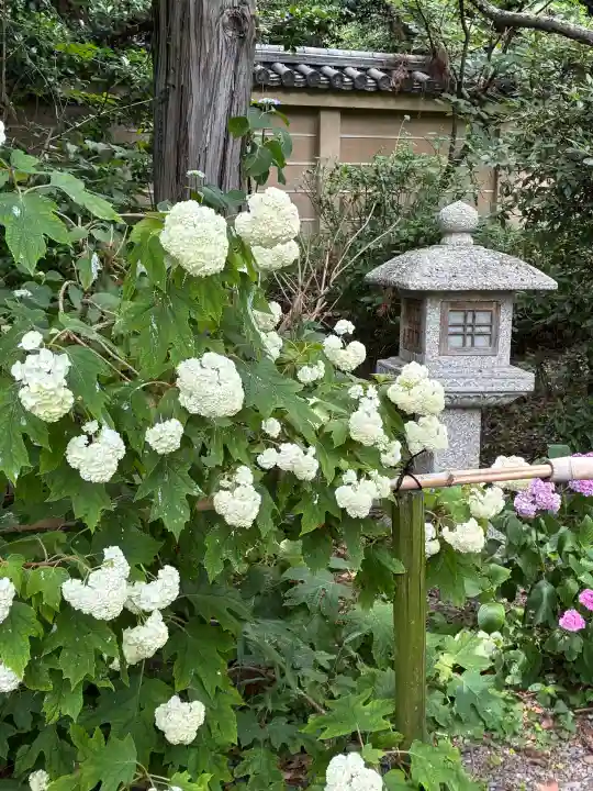 梅宮大社の{uncategorized: "未分類", other: "その他", undefined: "問題あり", building: "その他建物", grave: "お墓", sacred_gate: "鳥居", guardian: "狛犬", statue: "像", buddha: "仏像", history: "歴史", nature: "自然", garden: "庭園", animal: "動物", pagoda: "塔", temizu: "手水舎", mountain_gate: "山門・神門", sanctuary: "本殿・本堂", subordinate: "末社・摂社", art: "芸術", scenery: "景色", jizo: "地蔵", ema: "絵馬", goshuin: "御朱印", omikuji: "おみくじ", items: "授与品その他", amulet: "お守り", goshuincho: "御朱印帳", eats: "食事", festival: "お祭り", votive_dance: "神楽", shichigosan: "七五三参", wedding: "結婚式", experience: "体験その他", initially: "初詣", around: "周辺", anti_infection: "感染症対策"}