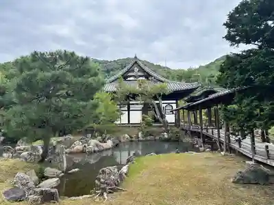 高台寺（高台寿聖禅寺・高臺寺）(京都府)