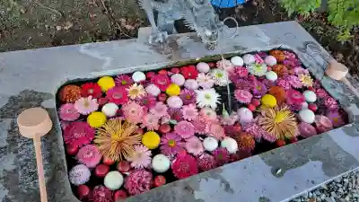 宝蔵寺の{uncategorized: "未分類", other: "その他", undefined: "問題あり", building: "その他建物", grave: "お墓", sacred_gate: "鳥居", guardian: "狛犬", statue: "像", buddha: "仏像", history: "歴史", nature: "自然", garden: "庭園", animal: "動物", pagoda: "塔", temizu: "手水舎", mountain_gate: "山門・神門", sanctuary: "本殿・本堂", subordinate: "末社・摂社", art: "芸術", scenery: "景色", jizo: "地蔵", ema: "絵馬", goshuin: "御朱印", omikuji: "おみくじ", items: "授与品その他", amulet: "お守り", goshuincho: "御朱印帳", eats: "食事", festival: "お祭り", votive_dance: "神楽", shichigosan: "七五三参", wedding: "結婚式", experience: "体験その他", initially: "初詣", around: "周辺", anti_infection: "感染症対策"}