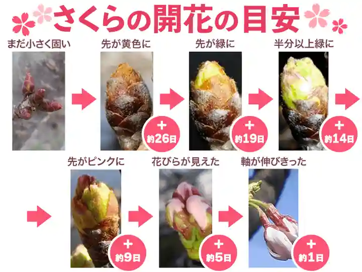 三輪神社(愛知県)