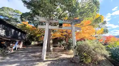 山崎神社(京都府)