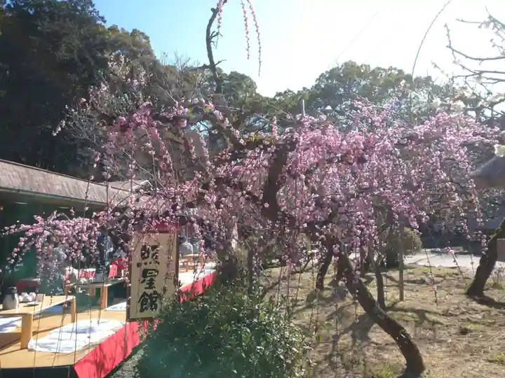 太宰府天満宮の自然