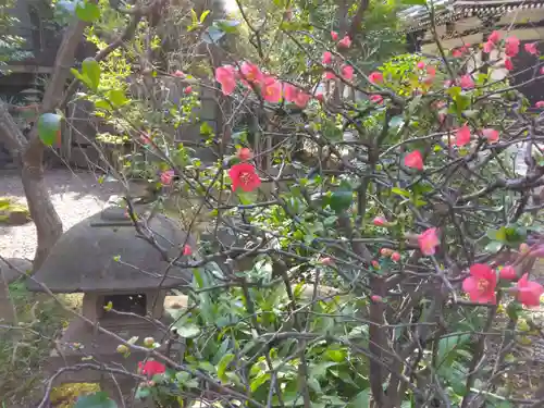 天徳寺(東京都)