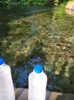 白川吉見神社(熊本県)