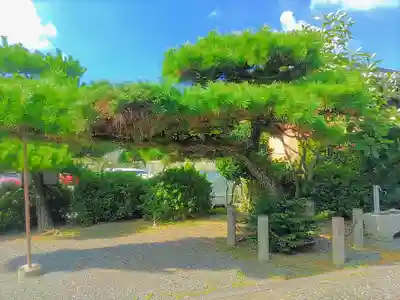 来迎院（常楽寺塔頭）の自然