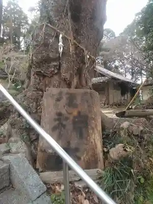瑠璃光寺の自然