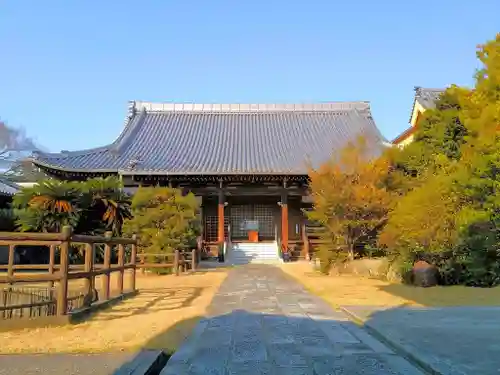 天澤院の本殿・本堂