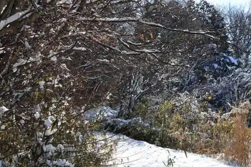 鹿島大神宮の自然