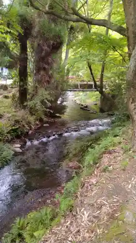 白川吉見神社(熊本県)