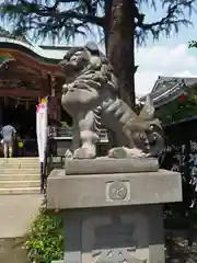 今戸神社の狛犬