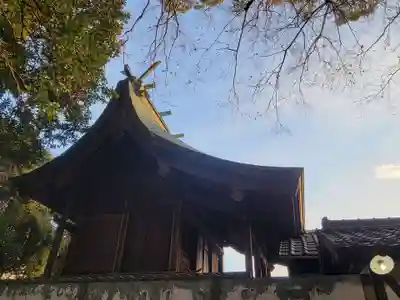 稲荷神社(愛媛県)