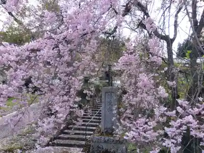 福徳寺(京都府)