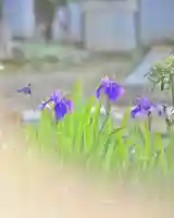 浄土寺(兵庫県)