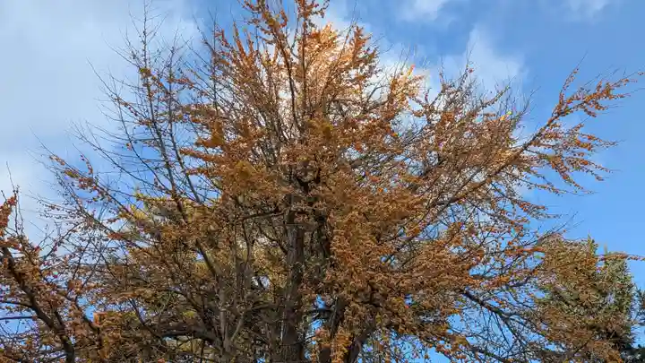 旭川別院(北海道)