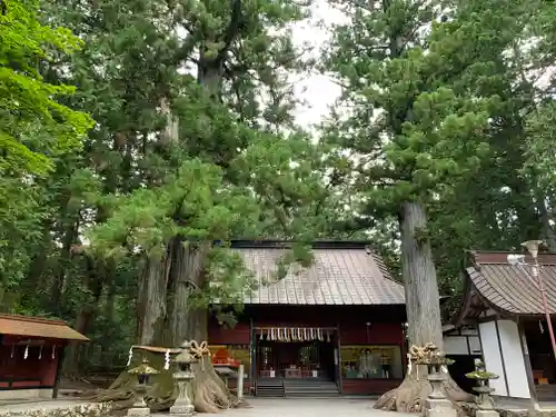 北口本宮冨士浅間神社の本殿