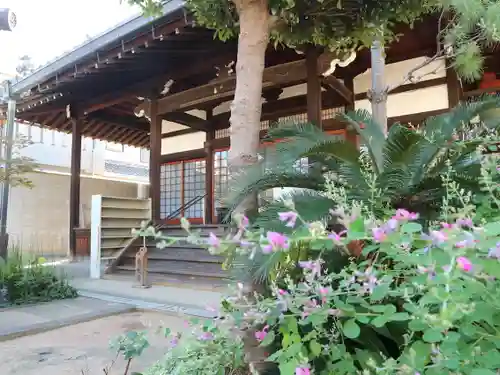 専念寺の本殿・本堂