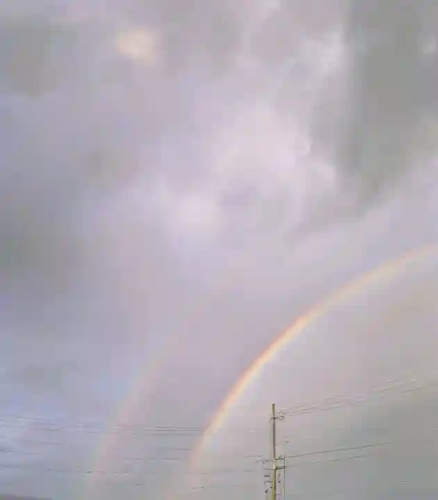 深志神社の{uncategorized: "未分類", other: "その他", undefined: "問題あり", building: "その他建物", grave: "お墓", sacred_gate: "鳥居", guardian: "狛犬", statue: "像", buddha: "仏像", history: "歴史", nature: "自然", garden: "庭園", animal: "動物", pagoda: "塔", temizu: "手水舎", mountain_gate: "山門・神門", sanctuary: "本殿・本堂", subordinate: "末社・摂社", art: "芸術", scenery: "景色", jizo: "地蔵", ema: "絵馬", goshuin: "御朱印", omikuji: "おみくじ", items: "授与品その他", amulet: "お守り", goshuincho: "御朱印帳", eats: "食事", festival: "お祭り", votive_dance: "神楽", shichigosan: "七五三参", wedding: "結婚式", experience: "体験その他", initially: "初詣", around: "周辺", anti_infection: "感染症対策"}