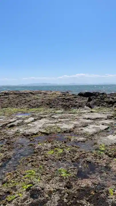 つぶてヶ浦鳥居(伊勢神宮遥拝所)(愛知県)