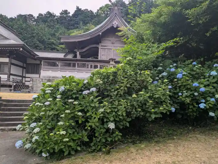 粟井神社(香川県)
