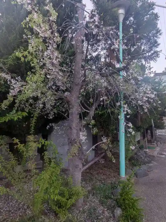 上千葉香取神社(東京都)