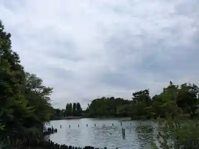 妙福寺(東京都)