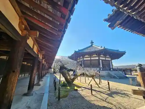 法隆寺(奈良県)
