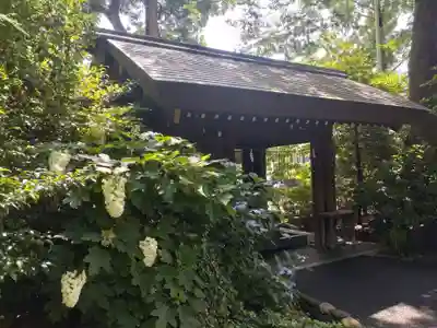 阿佐ヶ谷神明宮(東京都)
