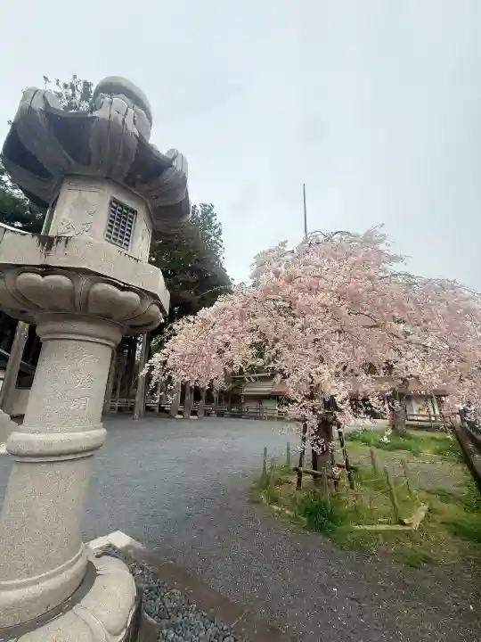 高野山金剛峯寺奥の院の{uncategorized: "未分類", other: "その他", undefined: "問題あり", building: "その他建物", grave: "お墓", sacred_gate: "鳥居", guardian: "狛犬", statue: "像", buddha: "仏像", history: "歴史", nature: "自然", garden: "庭園", animal: "動物", pagoda: "塔", temizu: "手水舎", mountain_gate: "山門・神門", sanctuary: "本殿・本堂", subordinate: "末社・摂社", art: "芸術", scenery: "景色", jizo: "地蔵", ema: "絵馬", goshuin: "御朱印", omikuji: "おみくじ", items: "授与品その他", amulet: "お守り", goshuincho: "御朱印帳", eats: "食事", festival: "お祭り", votive_dance: "神楽", shichigosan: "七五三参", wedding: "結婚式", experience: "体験その他", initially: "初詣", around: "周辺", anti_infection: "感染症対策"}