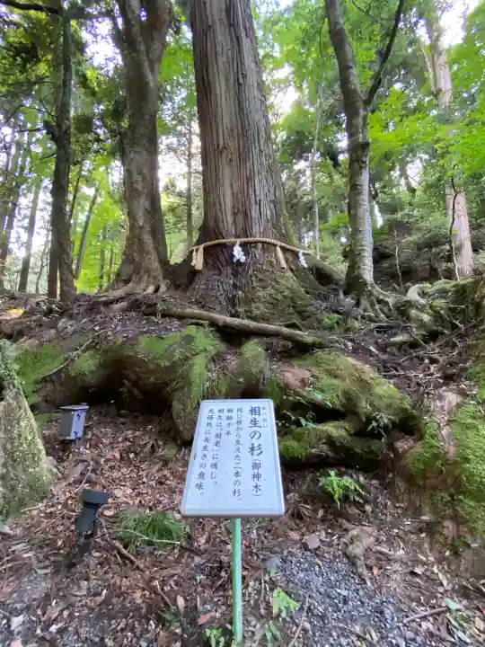貴船神社奥宮(京都府)