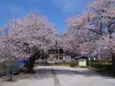 勝呂神社(埼玉県)