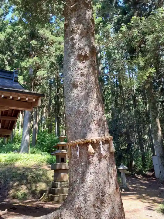 儛草神社(岩手県)