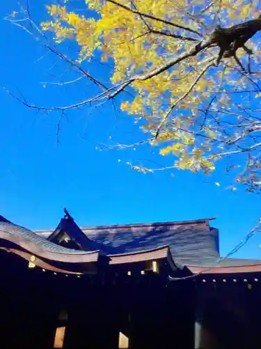 渋谷氷川神社(東京都)