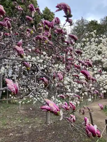 北海道神宮の庭園