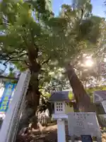 新庄之宮神社(広島県)