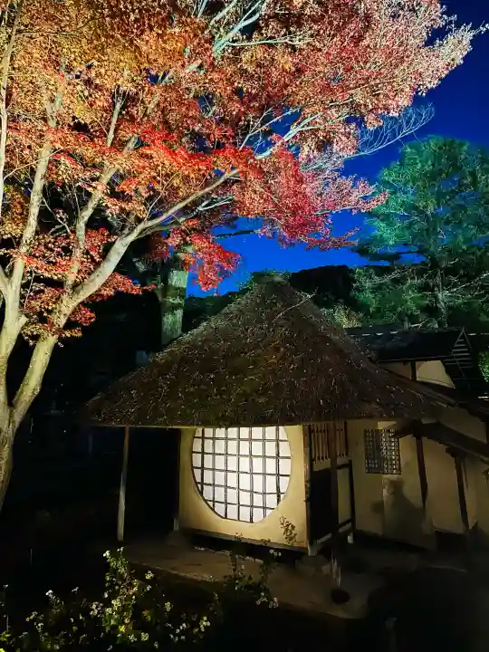 高台寺(高台寿聖禅寺・高臺寺)(京都府)