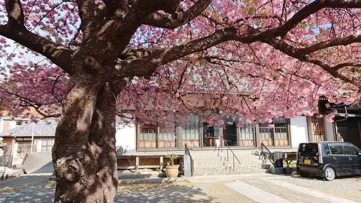 真乗寺の本殿・本堂