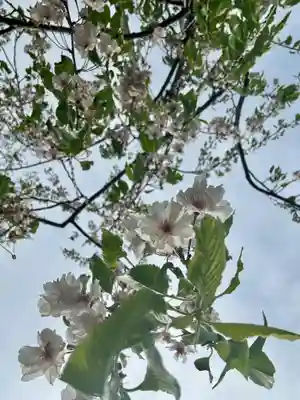 玉田神社(京都府)