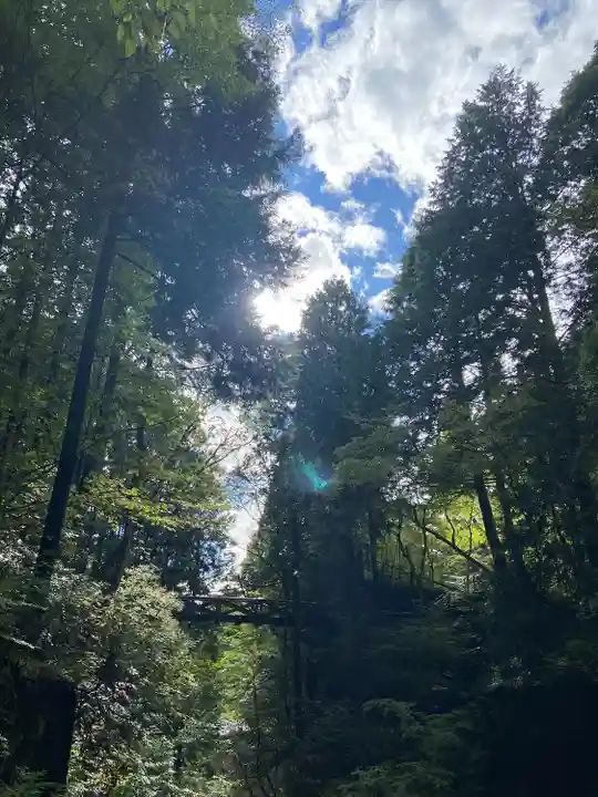 竜神神社(岐阜県)
