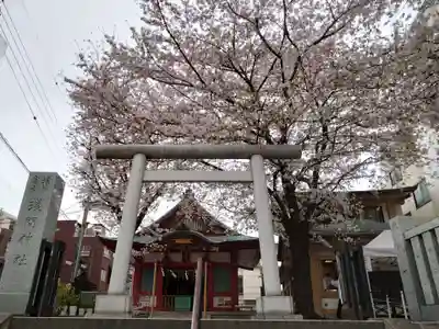 浅草富士浅間神社の鳥居