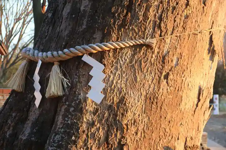 阿久津「田村神社」(郡山市阿久津町)旧社名:伊豆箱根三嶋三社の自然