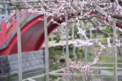 亀戸天神社(東京都)