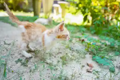 東隆寺(山口県)