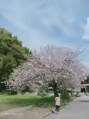 香取神宮の建物その他