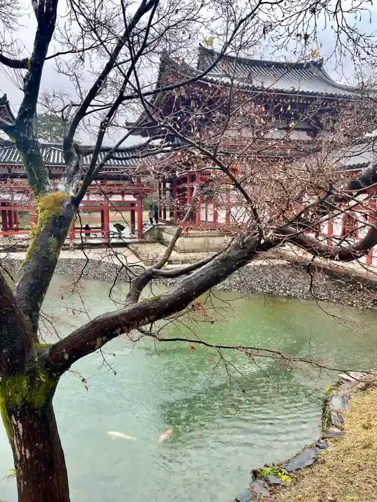 平等院(京都府)