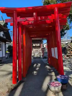 相模原氷川神社(神奈川県)